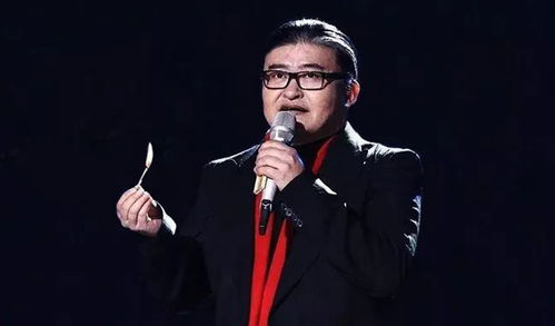 小爸爸刘欢个人资料