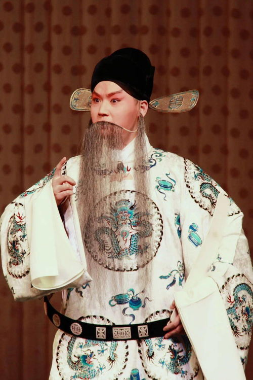 二进宫剧情介绍曲剧二进宫剧情介绍