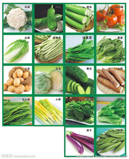 蔬菜种类大全名字图片图片