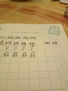 2个字词语大全2个字词语大全500