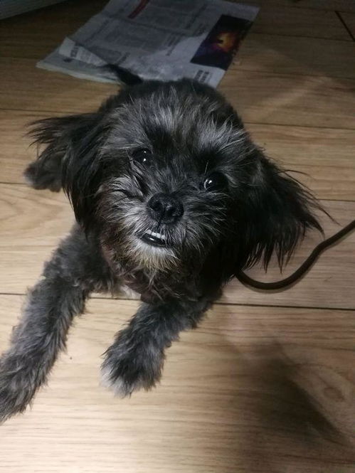 眼巴巴的意思眼巴巴的意思怎么解释