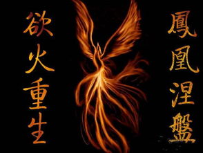 "凤凰涅磐,浴火重生"是什么意思?