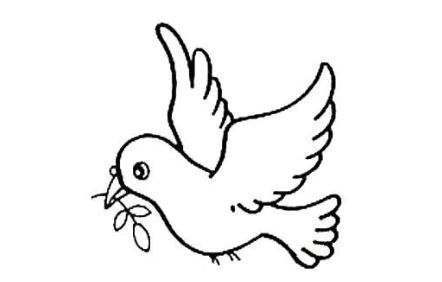 白鸽简笔画白鸽简笔画三步完成