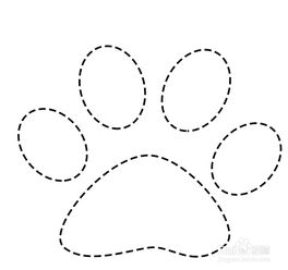 ps画虚线怎么画ps画虚线怎么画出来是矩形