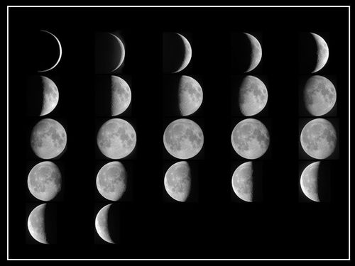 新月在农历初二三傍晚出现在天空的西方,就是前面提到的"肋".