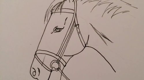 怎么画马怎么画马简笔画