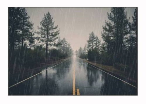 推荐意境美的下雨图片