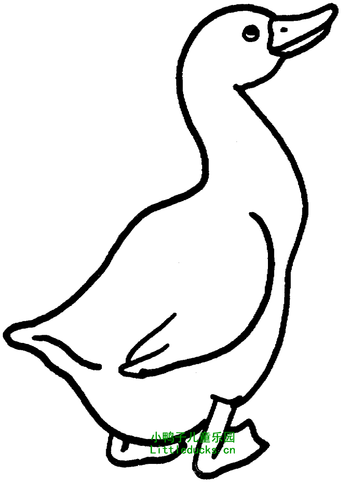 鹅的画法简笔画图片