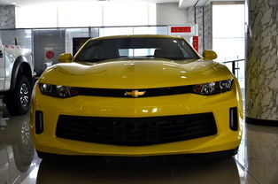 一辆大黄蜂车型的,,大概多少钱?大黄蜂车型的