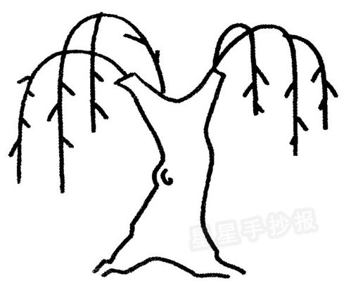 柳树简笔画怎么画