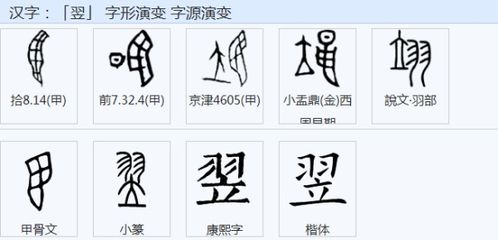 立和羽读什么立和羽读什么意思