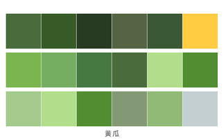 绿色搭配色板图片