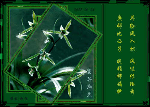 空谷幽兰是什么意思空谷幽兰是什么意思打一生肖