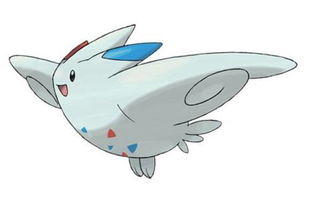 波克比最终进化是什么