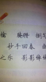 夫 月=肤,组词:肤浅 肤色 肌肤 皮肤 肤泛 其他月字旁的字:胎,肪,膝
