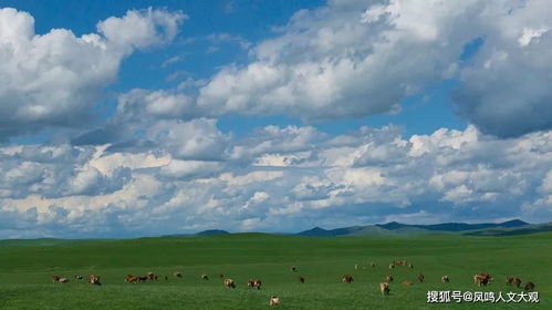 潘帕斯草原潘帕斯草原的气候类型