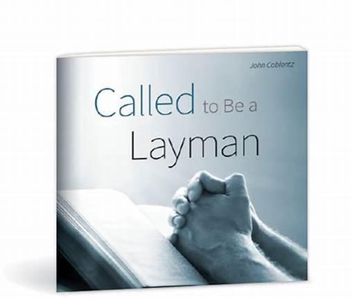 laity是什么意思laity是什么意思英语翻译