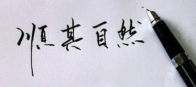 顺其自然的近义词