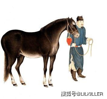 劳而无功，九天来，猜一生肖，谢谢