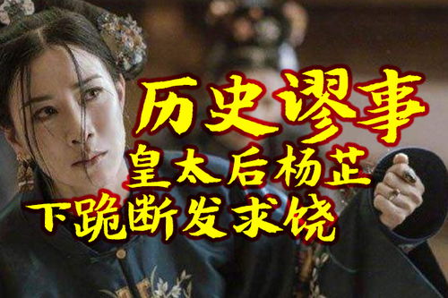 电视剧八王之乱电视剧八王之乱剧情介绍