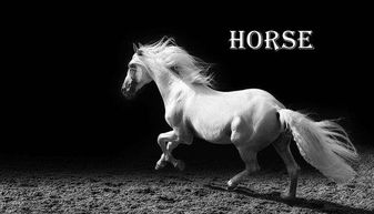 horse的复数形式是horses.
