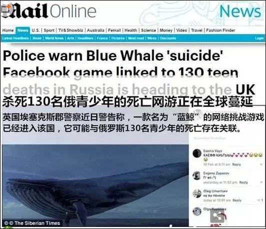 蓝鲸组织关于蓝鲸组织