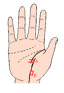 生命线怎么看生命线怎么看生命长短