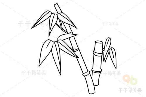 竹简怎么画 竹简简笔画 古风竹简怎么画-养娃家