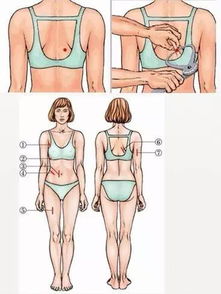 体脂率是什么,怎样计算出来。