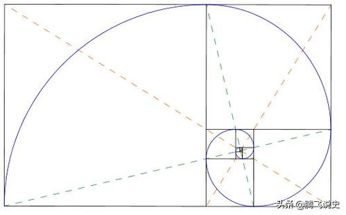 斐波那契螺旋线斐波那契螺旋线构图