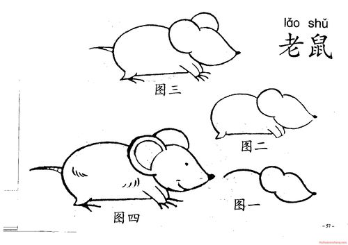 老鼠的画法(老鼠的画法简笔画图片)