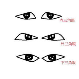 标准三角眼图片(什么叫三角眼图片)