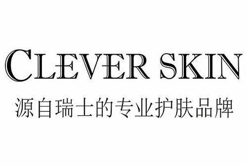 clever的意思