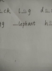 豆瓣填空题www后面填什么