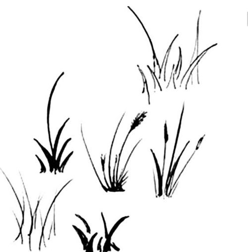 草怎么画好看(草怎么画好看而又简单图片)