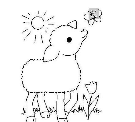 小羊怎样画图片