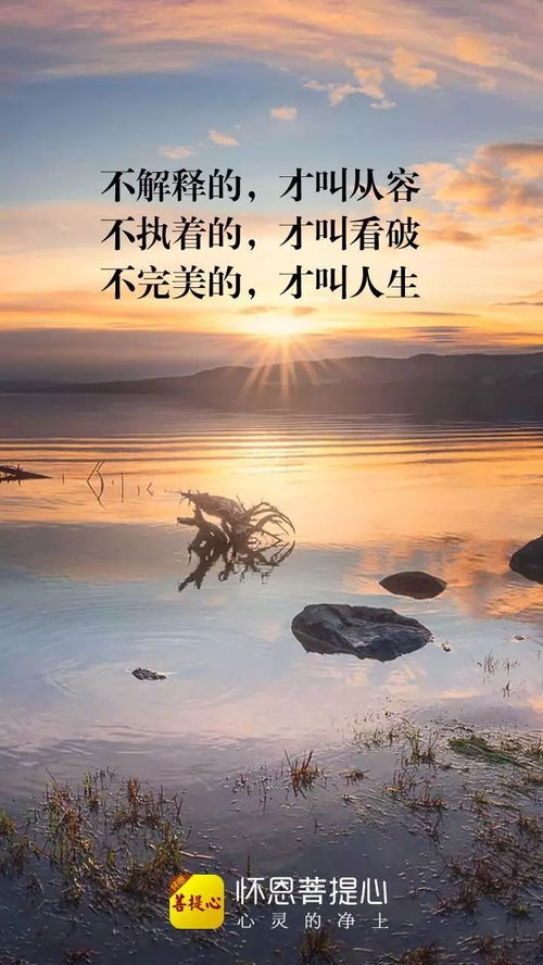 人生的四大境界是什么?