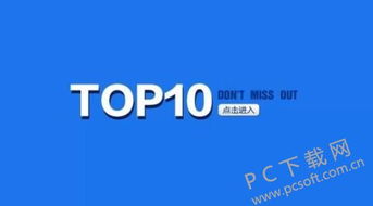 top是什么意思top是什么意思网络用语