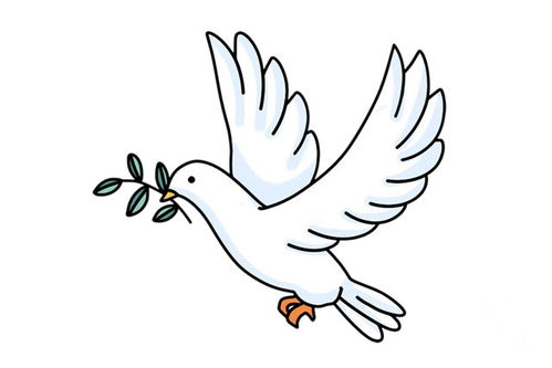 怎么画简笔头朝右和平鸽