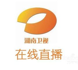 湖南电视台直播(湖南电视台直播在线观看电视剧)_竞价网