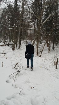 艳阳天真的能"大雪纷飞”吗?