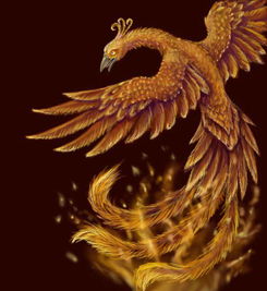 3,画出凤凰的眼睛,细长的眼睛.