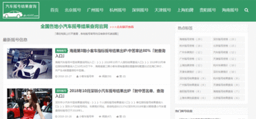 怎么查询机动车号牌是否被摇中?