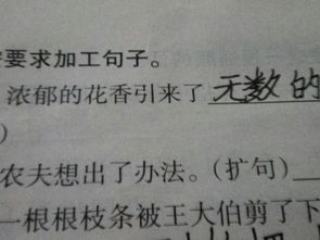 好奇近义词好奇近义词语是什么