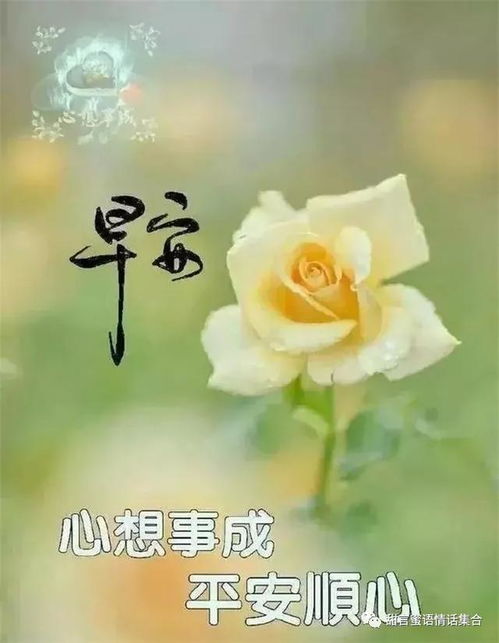 早上情话短句给女生的有哪些?