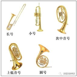 这一个家族包括了除了长号(trombone)之外的所有