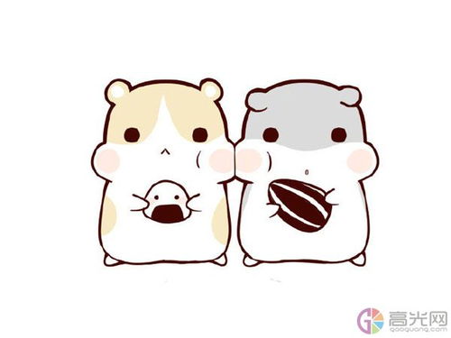 小仓鼠简笔画小仓鼠简笔画吃瓜子