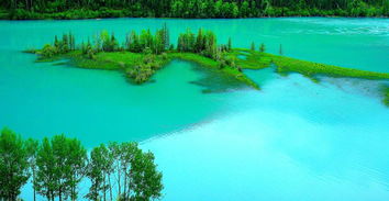 湖水碧绿碧绿的像什么?
