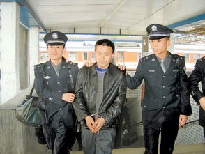 网上追逃是什么意思