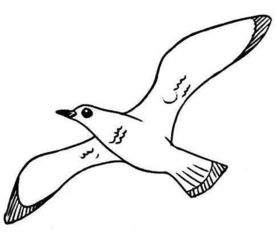 海鸥简笔画图片简单图片